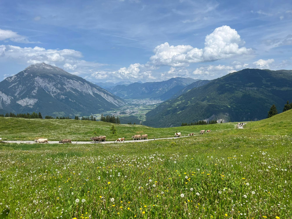 alpsommer 25 2