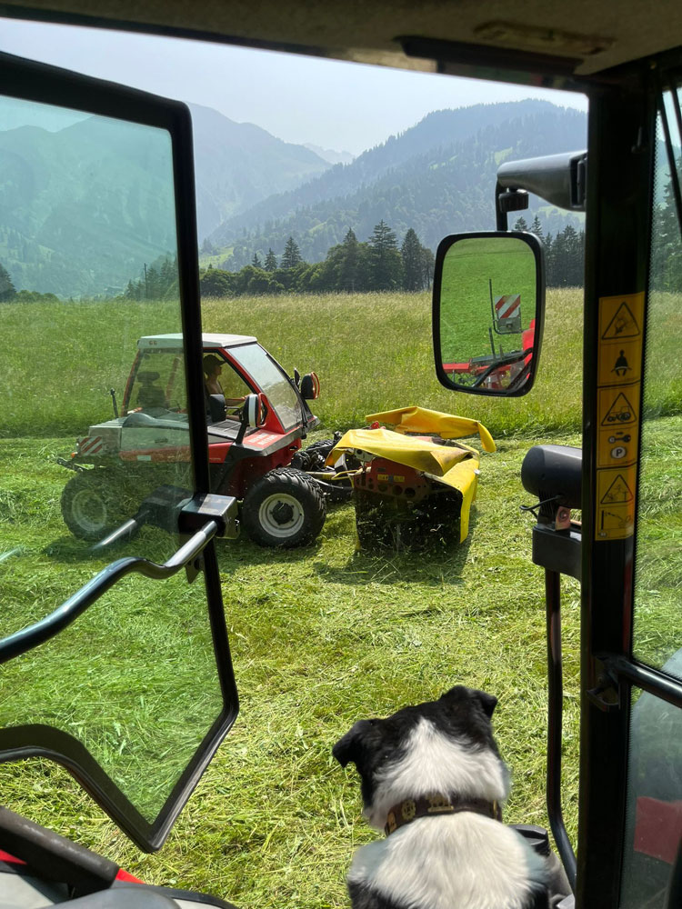 alpsommer 25 3